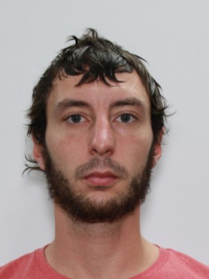 Austin Lee Orsini