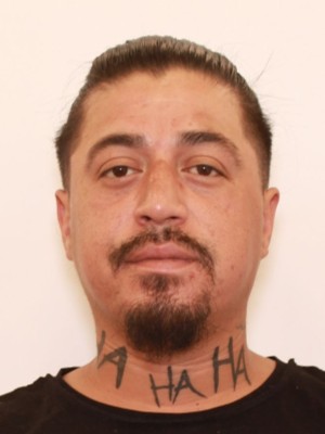 Photo of Flores, Mike Stanley