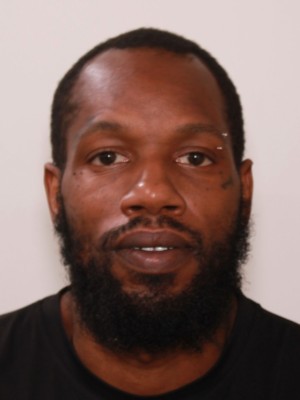 Photo of WILLIAMS JR, LEONARD LEVINE