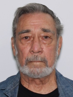 Photo of VERSHAY, THEODORE R