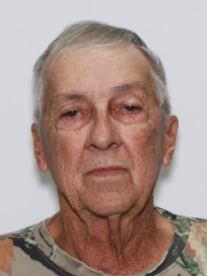 DENNIS MILTON LANIER
