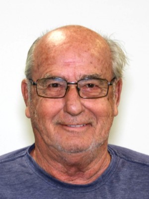 DENNIS GILBERT KAMIN