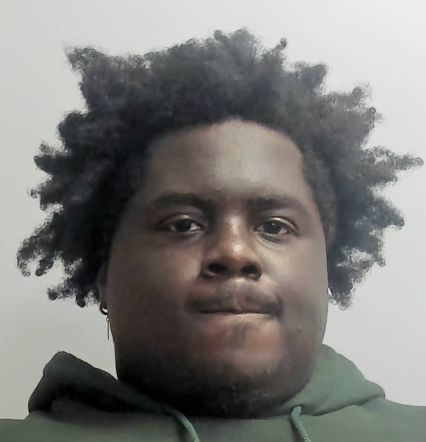 Photo of SYLVAIN, GIBSON