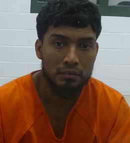 Ervin Jose Diaz-Gramajo