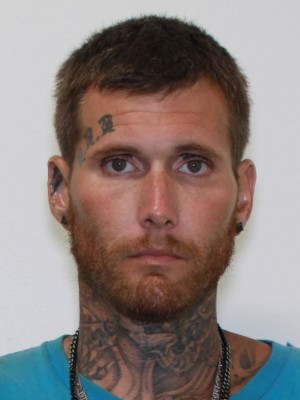 Photo of STANDRIDGE, DYLAN MICHAEL