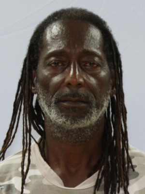 Photo of Jackson, Ulysses T