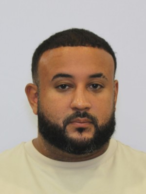 Hector Luis Irizarry Torres