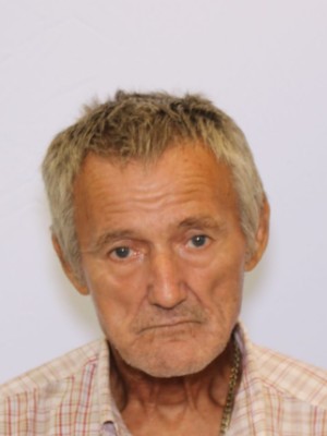 Steve Ellis Sawyer