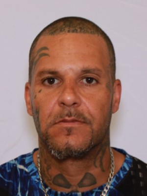 Jamie Curtis Evans