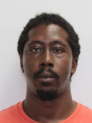 Photo of Stewart, Jeremy Frank