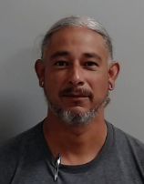 MICHAEL NELSON VIDRO